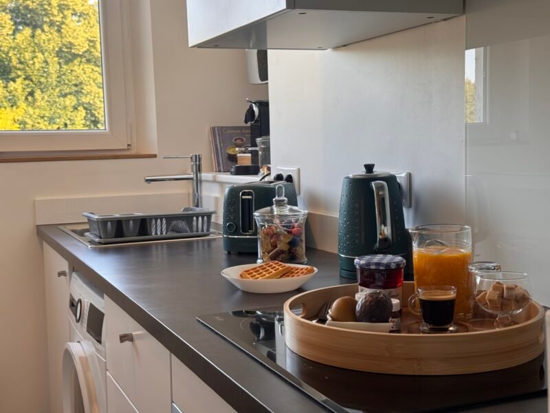 Duplex T2 cosy en plein centre ville / HEC & Tecomah