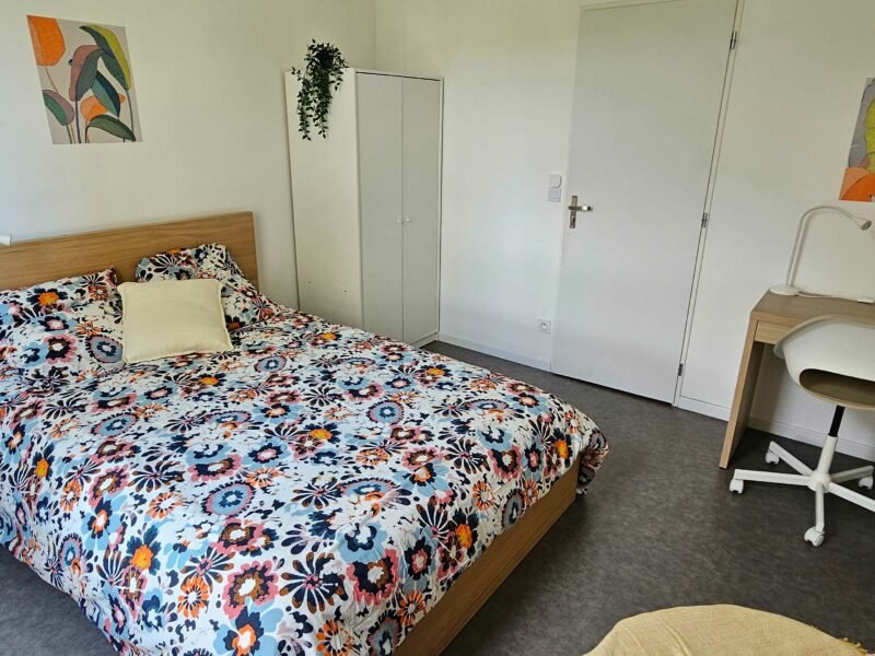 Chambre en colocation - Lyon 8e arrondissement