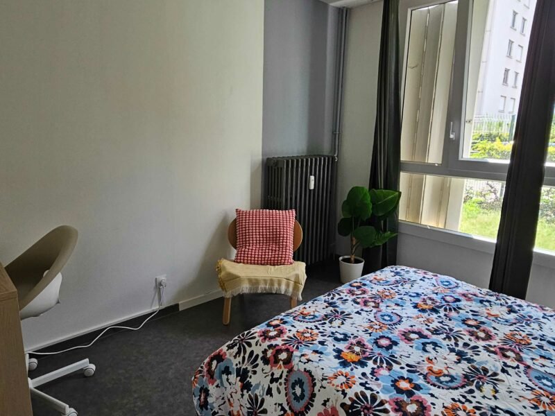 Chambre en colocation - Lyon 8e arrondissement