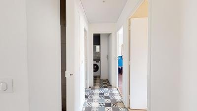 Colocation - Nice - Maurice Maccario